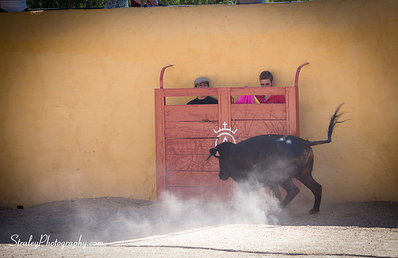 Seville 2013 10 10 - 0181
