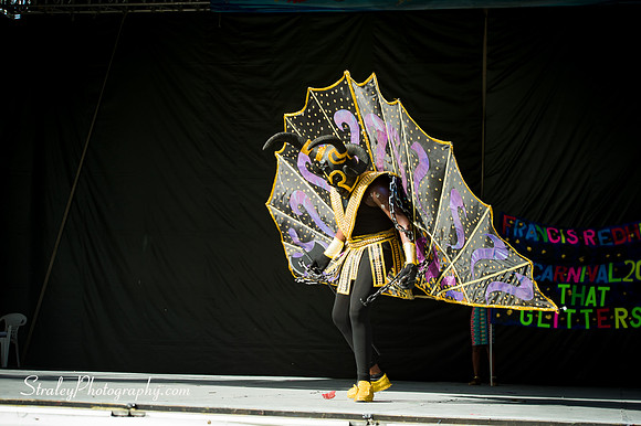 Spicemas Kiddie Carnival - 2017 08 05 - 1400