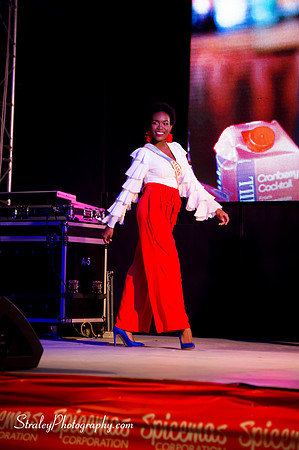 Spicemas 2018 Launch - 2018 04 07 - 0352