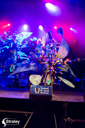 King and Queen of the Bands - 2018 08 13 - 0194