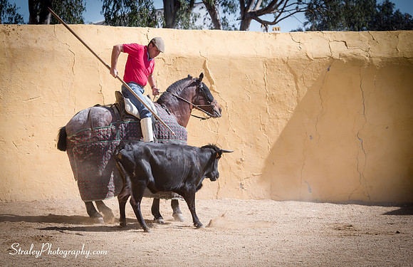 Seville 2013 10 10 - 0190