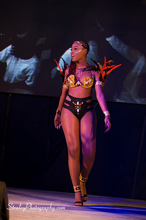 Spicemas 2018 Launch - 2018 04 07 - 0575