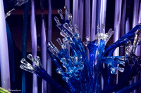 Chihuly and Dali  2014 12 17 - 0110