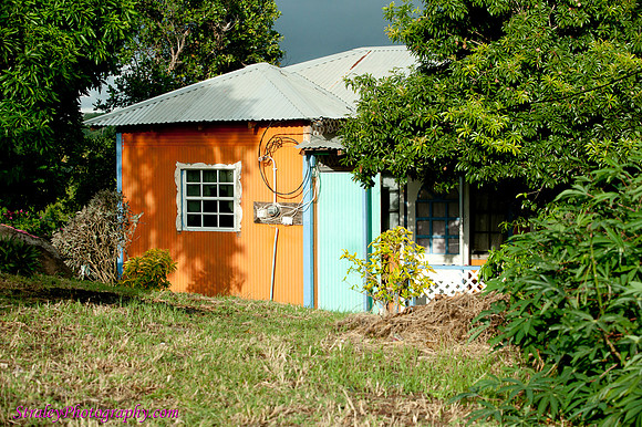 Grenada 11 2010 modeling   0081