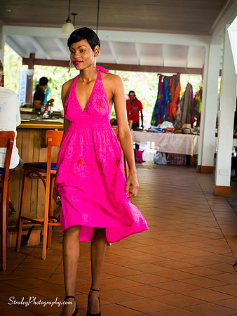 IMA Fashion Show 2015 02 28 - 0212