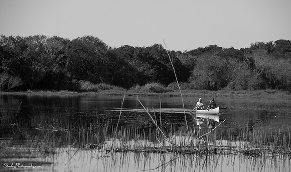 Myakka State Park  2014 12 15 - 0038