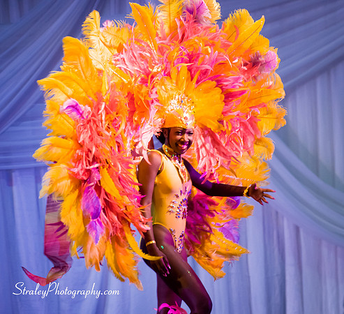 Spicemas National Queen Show - 2017 08 10 - 0539