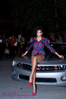The Car Show