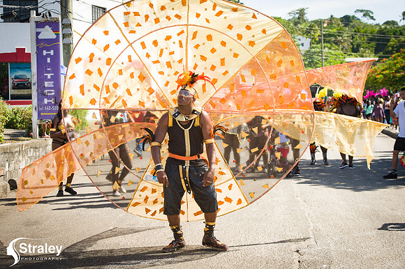 Parade of the Bands - 2018 08 14 - 0245