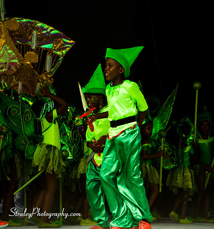 Pageant of the Bands - 2017 08 14 - 0667