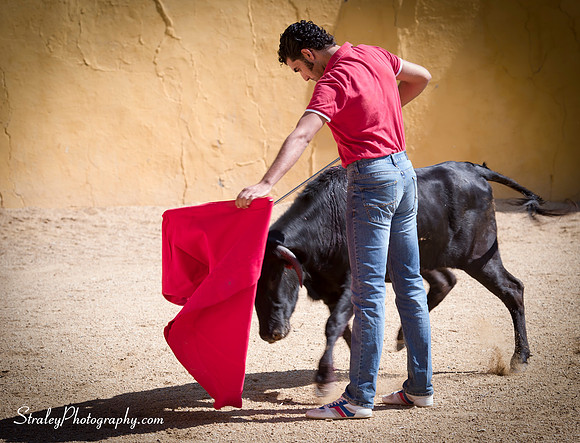 Seville 2013 10 10 - 0318