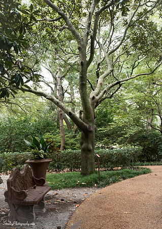 Elizabethan Gardens 2014 10 02 - 0057