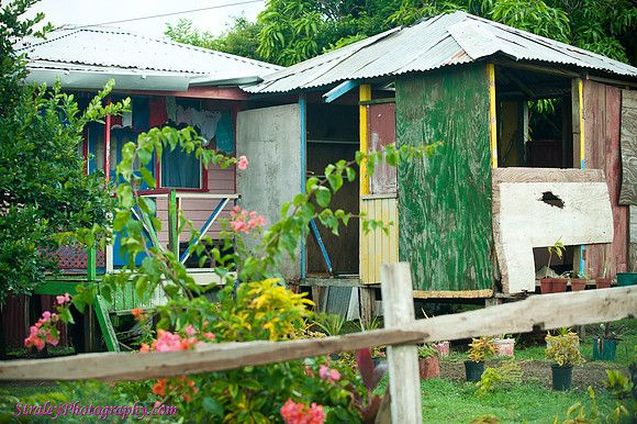 Grenada 11 2010 modeling   0107