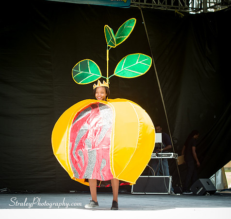Spicemas Kiddie Carnival - 2017 08 05 - 0957