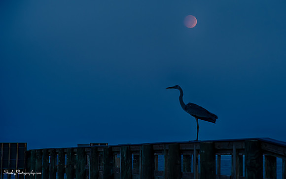 Blood moon eclipse 2014 10 08  - 0157_HDR-Edit