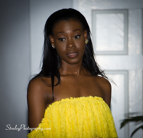 Caribbean United Pageant Kickoff - 2017 04 26 - 0041