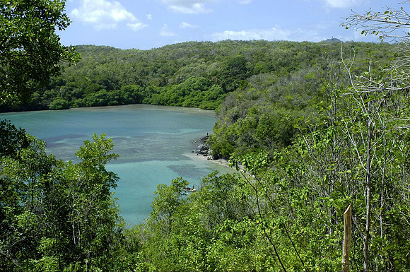 beach area from above 2-1-2