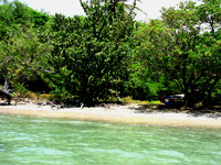 beach before clearing-2