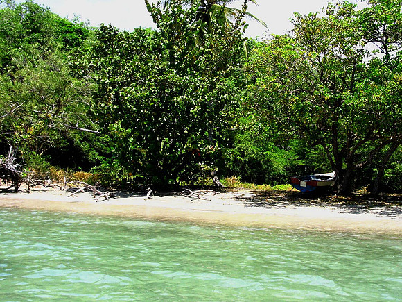 beach before clearing-2
