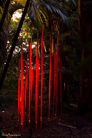 Chihuly at Fairchild Gardens  2015 01 08 - 0111