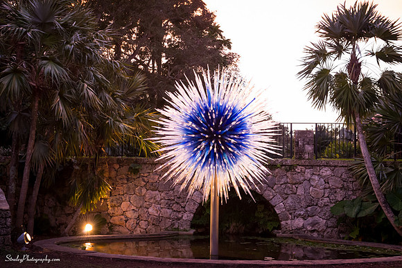 Chihuly at Fairchild Gardens  2015 01 08 - 0126