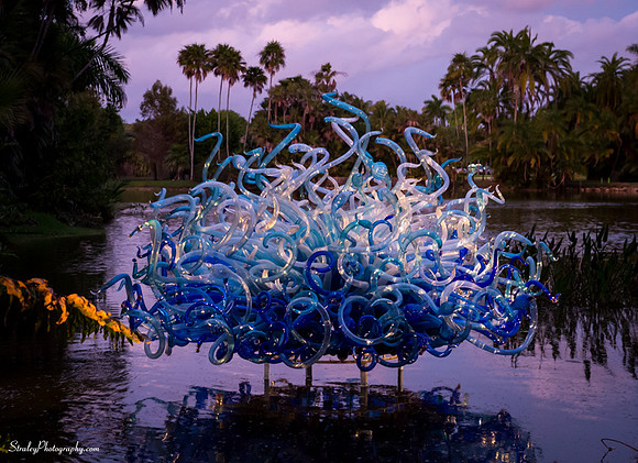 Chihuly at Fairchild Gardens  2015 01 08 - 0135