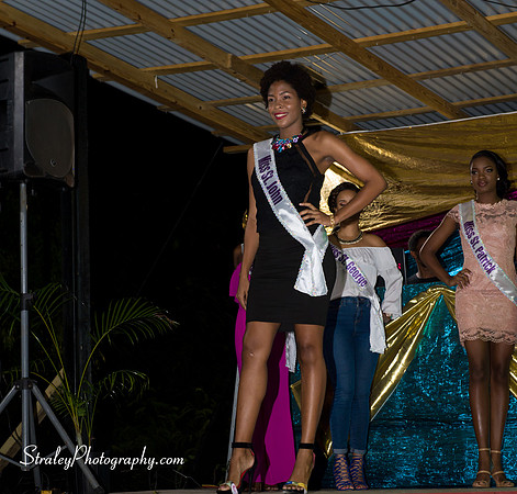 St Davids 2017 Carnival Launch 2017 06 04  - 0084