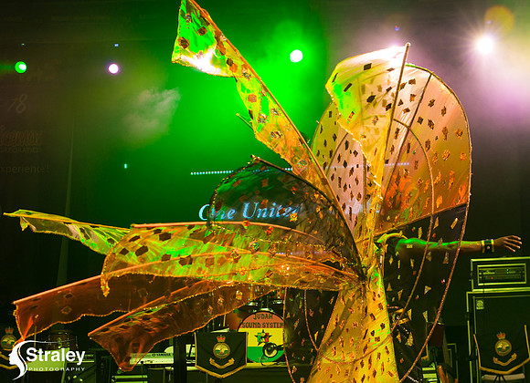 King and Queen of the Bands - 2018 08 13 - 0431
