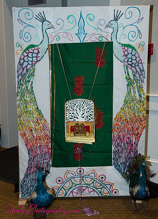 Dizali JAX 2012 11 18 - 0046