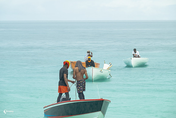 Workboat Festival 2025 - 2025 03 15 - 0043