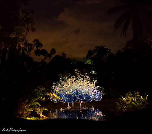 Chihuly at Fairchild Gardens  2015 01 08 - 0205