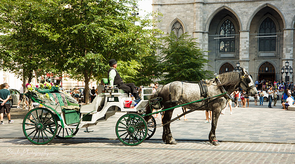 Montreal - 2015 08 01 - 0053
