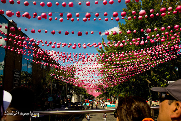 Montreal Bus Tour - 2015 08 02 - 0046