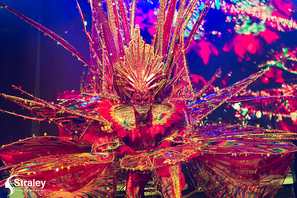 King and Queen of the Bands - 2018 08 13 - 0516