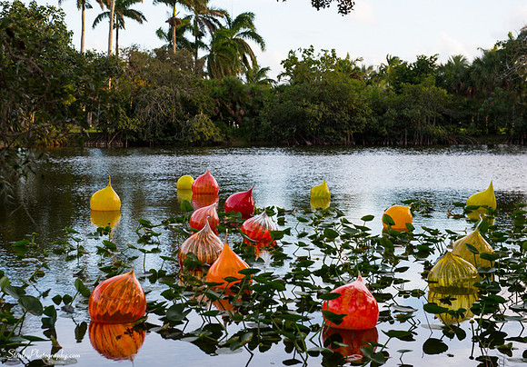 Chihuly at Fairchild Gardens  2015 01 08 - 0003