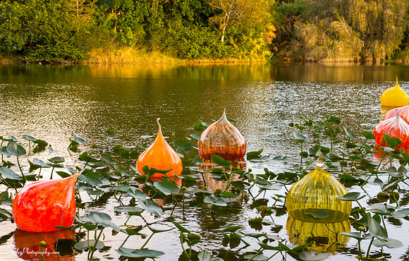 Chihuly at Fairchild Gardens  2015 01 08 - 0007