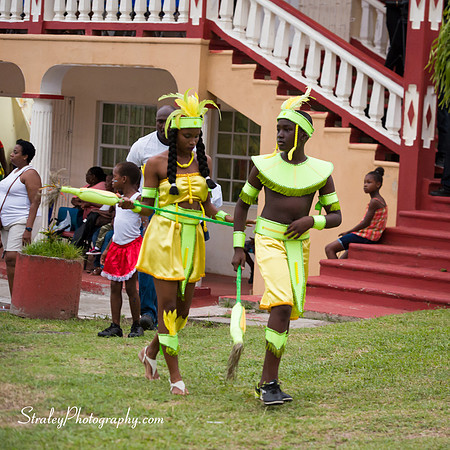 St Davids 2017 Carnival Launch 2017 06 04  - 0007