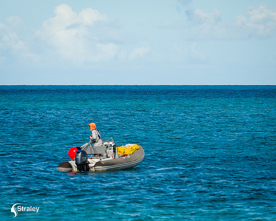 Grenada workboat competition 2023  2023  02 25 - 0005