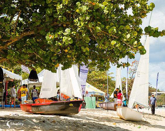 Grenada workboat competition 2023  2023  02 25 - 0104