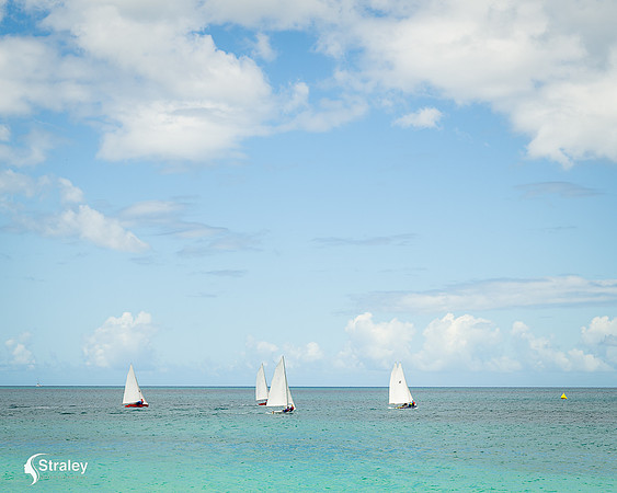 Grenada workboat competition 2023  2023  02 25 - 0146
