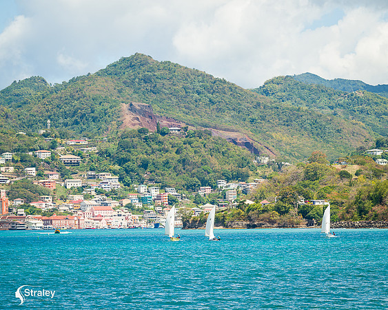 Grenada workboat competition 2023  2023  02 25 - 0151