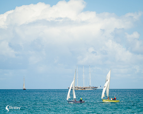 Grenada workboat competition 2023  2023  02 25 - 0152