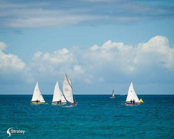 Grenada workboat competition 2023  2023  02 25 - 0159