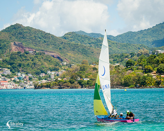 Grenada workboat competition 2023  2023  02 25 - 0160