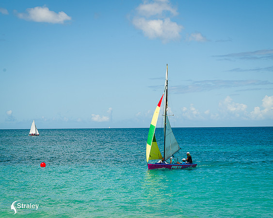 Grenada workboat competition 2023  2023  02 25 - 0167