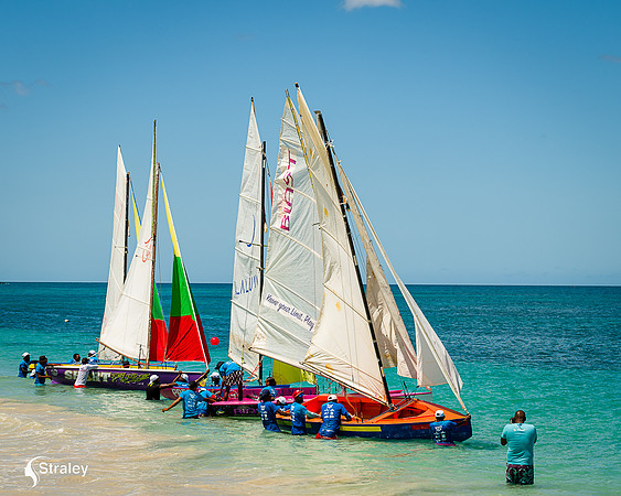 Grenada workboat competition 2023  2023  02 25 - 0173