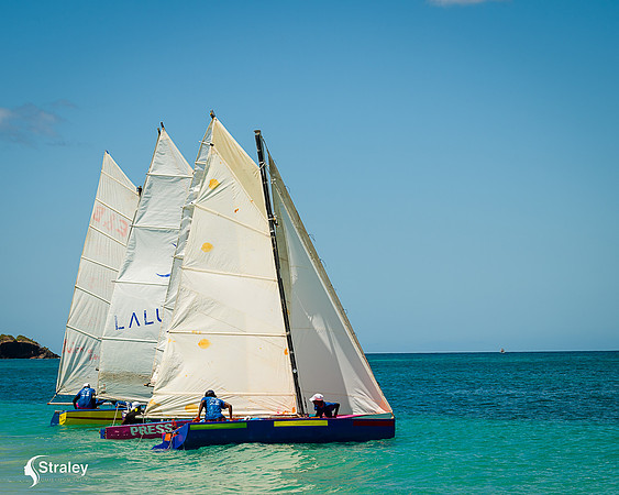 Grenada workboat competition 2023  2023  02 25 - 0175