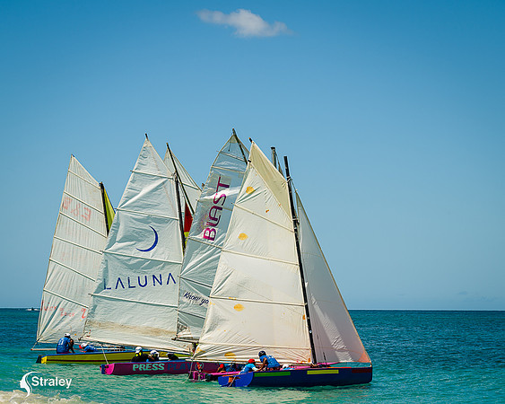 Grenada workboat competition 2023  2023  02 25 - 0177