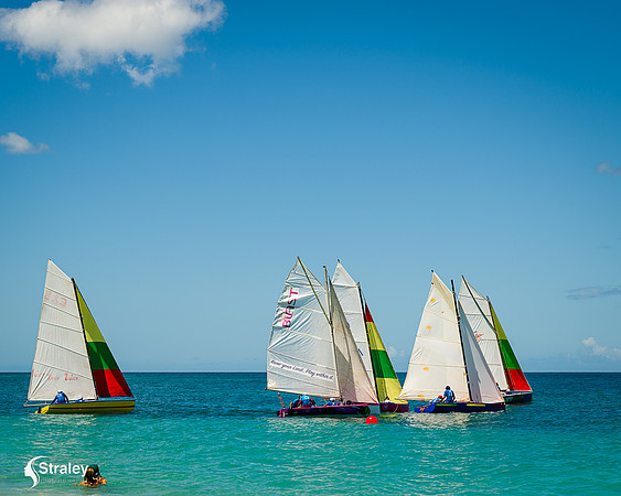 Grenada workboat competition 2023  2023  02 25 - 0178