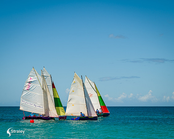 Grenada workboat competition 2023  2023  02 25 - 0179